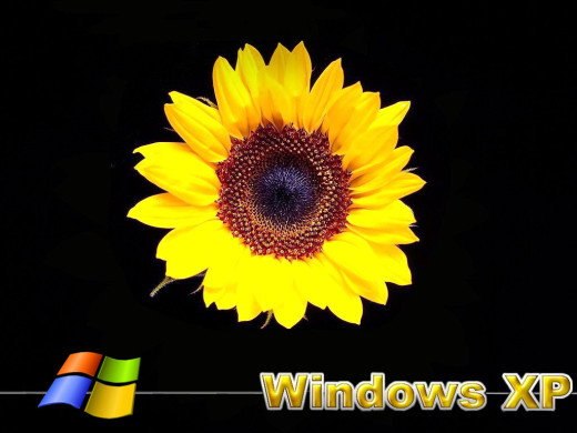384256 (a): :1024x768